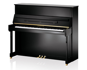 德国贝希斯坦钢琴A 124 (B 124) Style